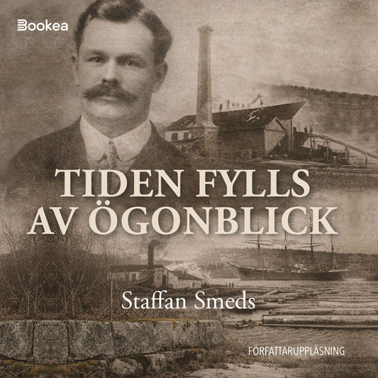 Tiden fylls av ögonblick – Ljudbok