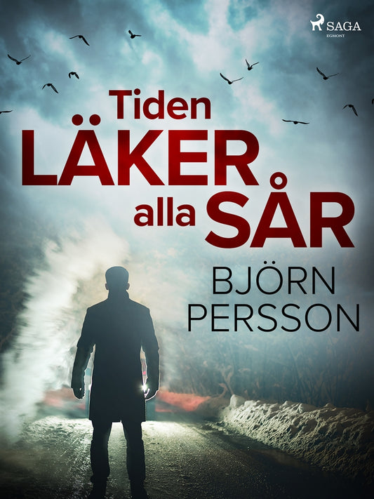 Tiden läker alla sår – E-bok