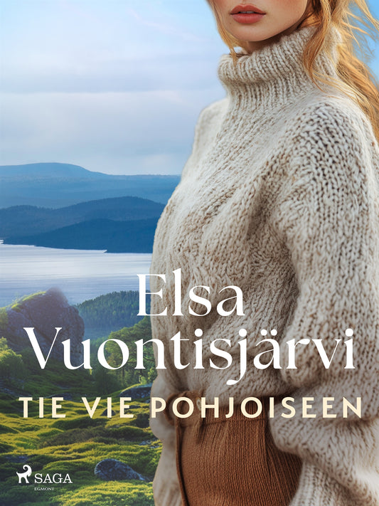 Tie vie pohjoiseen – E-bok