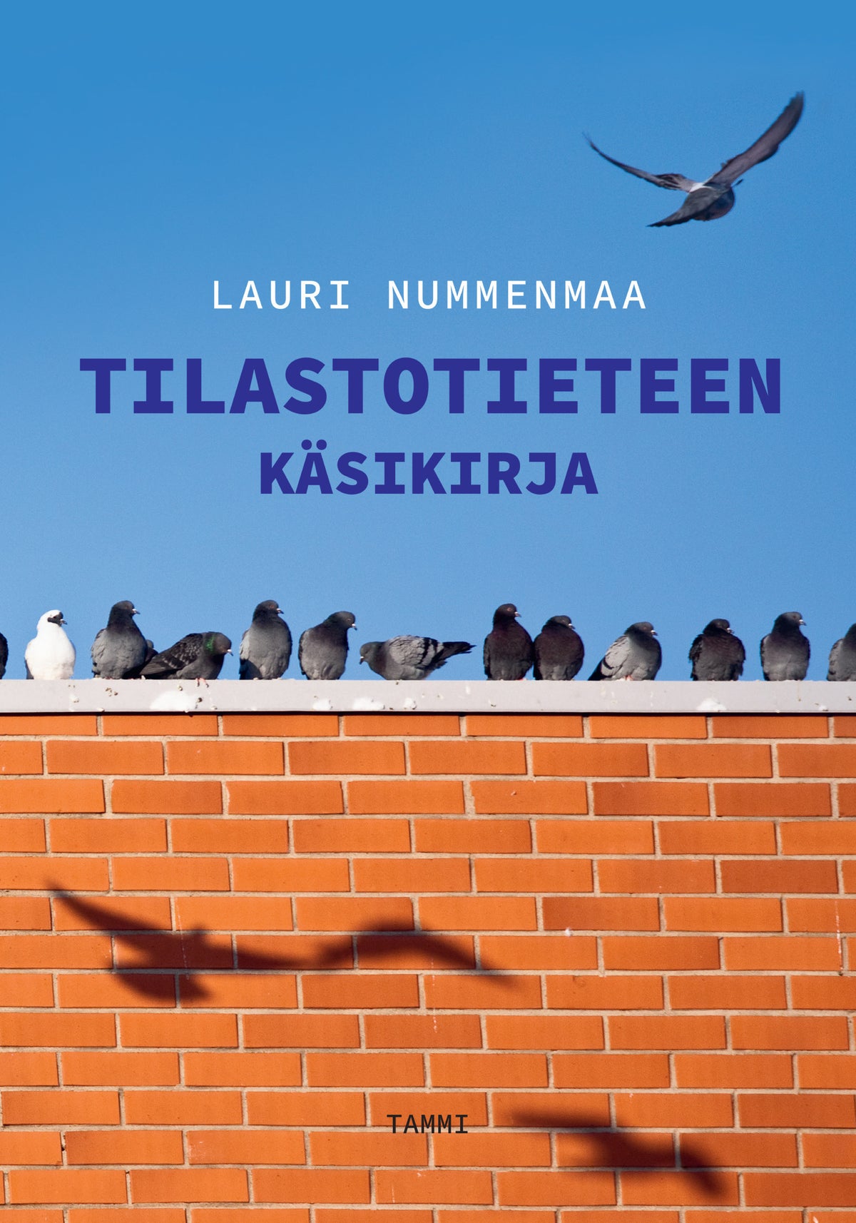 Tilastotieteen käsikirja – E-bok