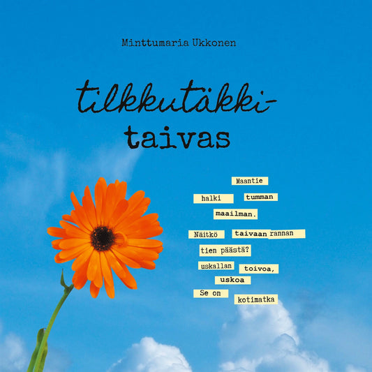 Tilkkutäkkitaivas – E-bok