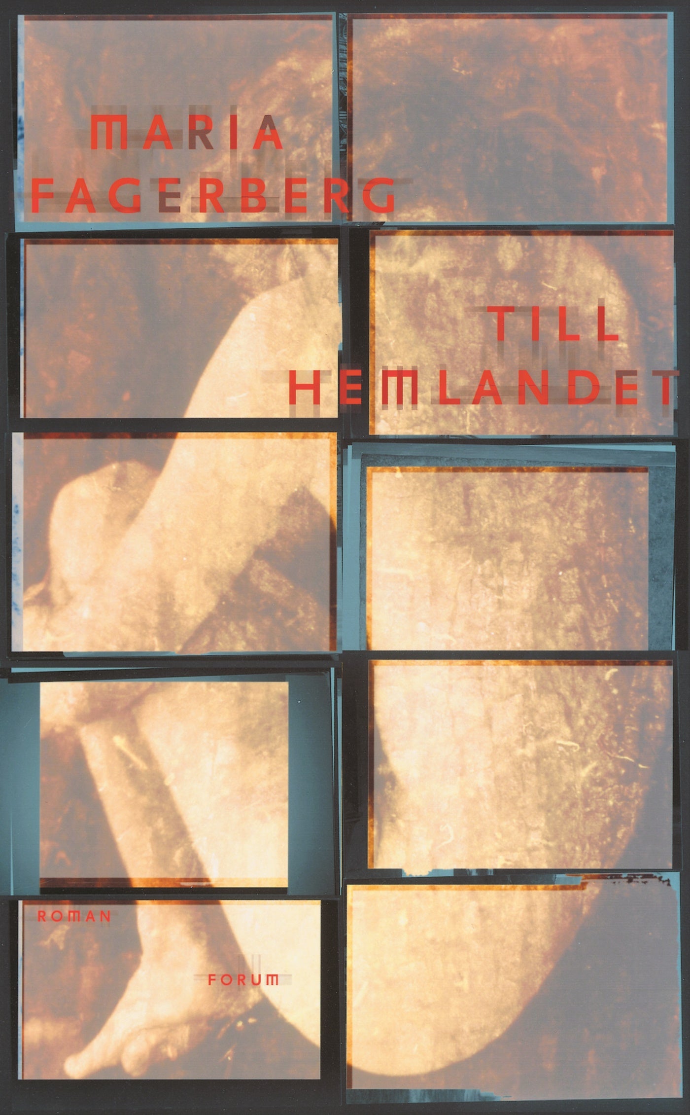 Till Hemlandet – E-bok