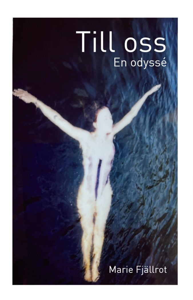 Till oss : en odyssé – E-bok