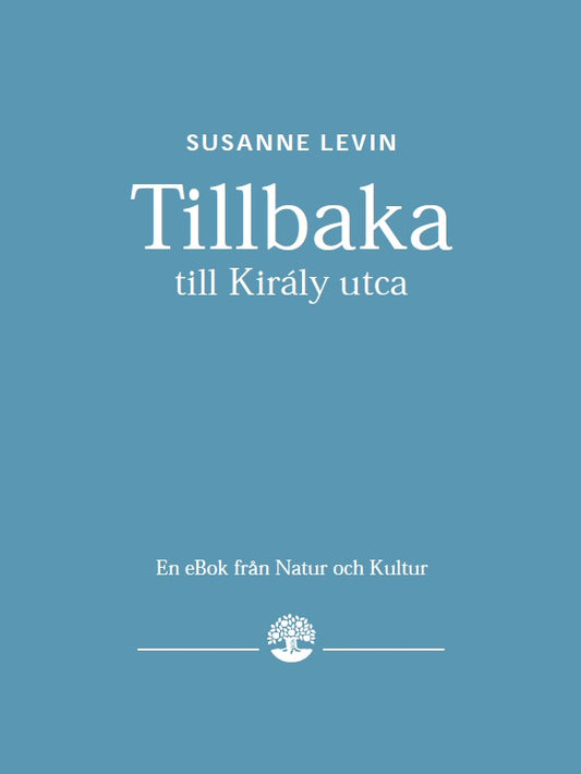 Tillbaka till kiraly utca  – E-bok