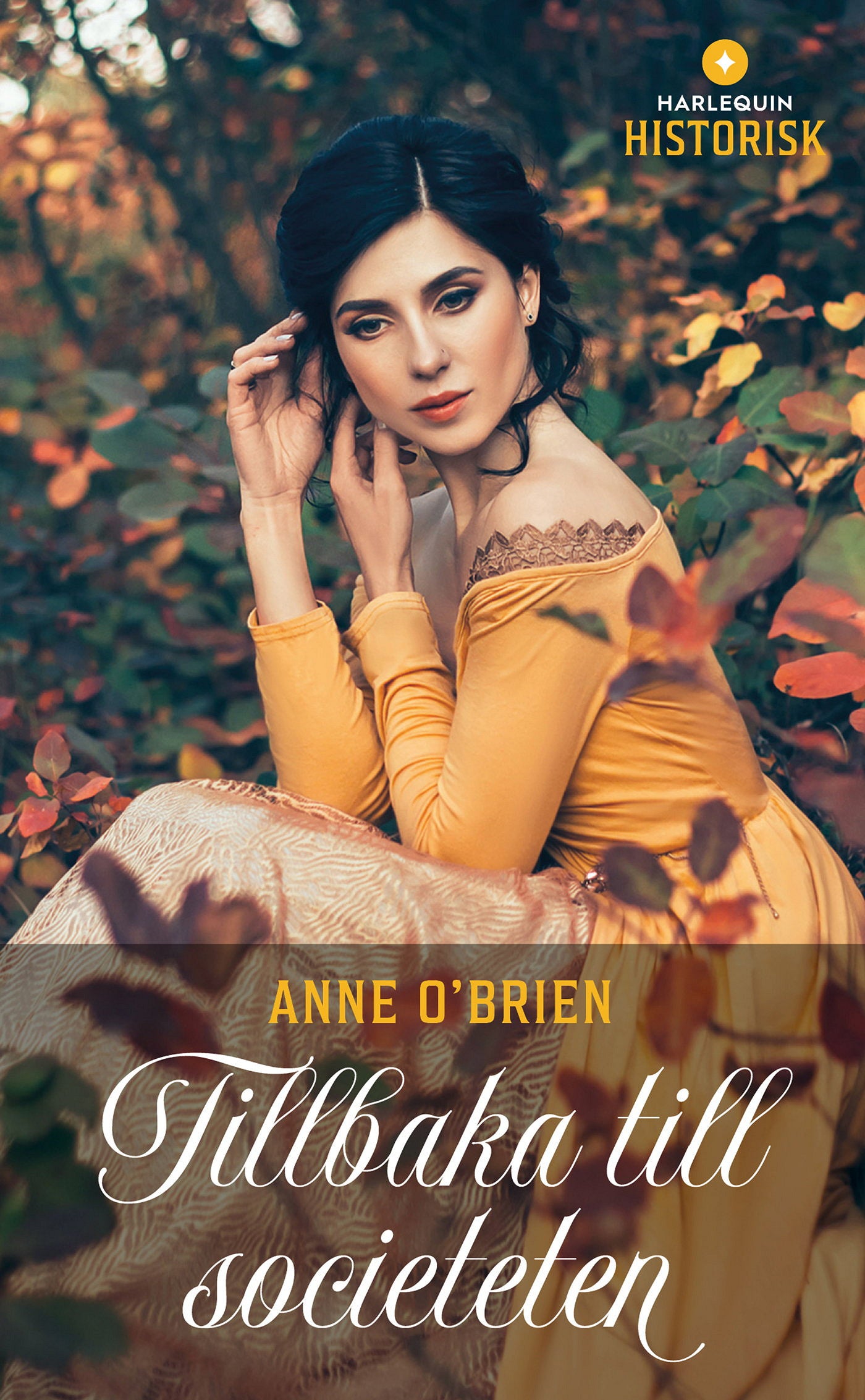Tillbaka till societeten – E-bok