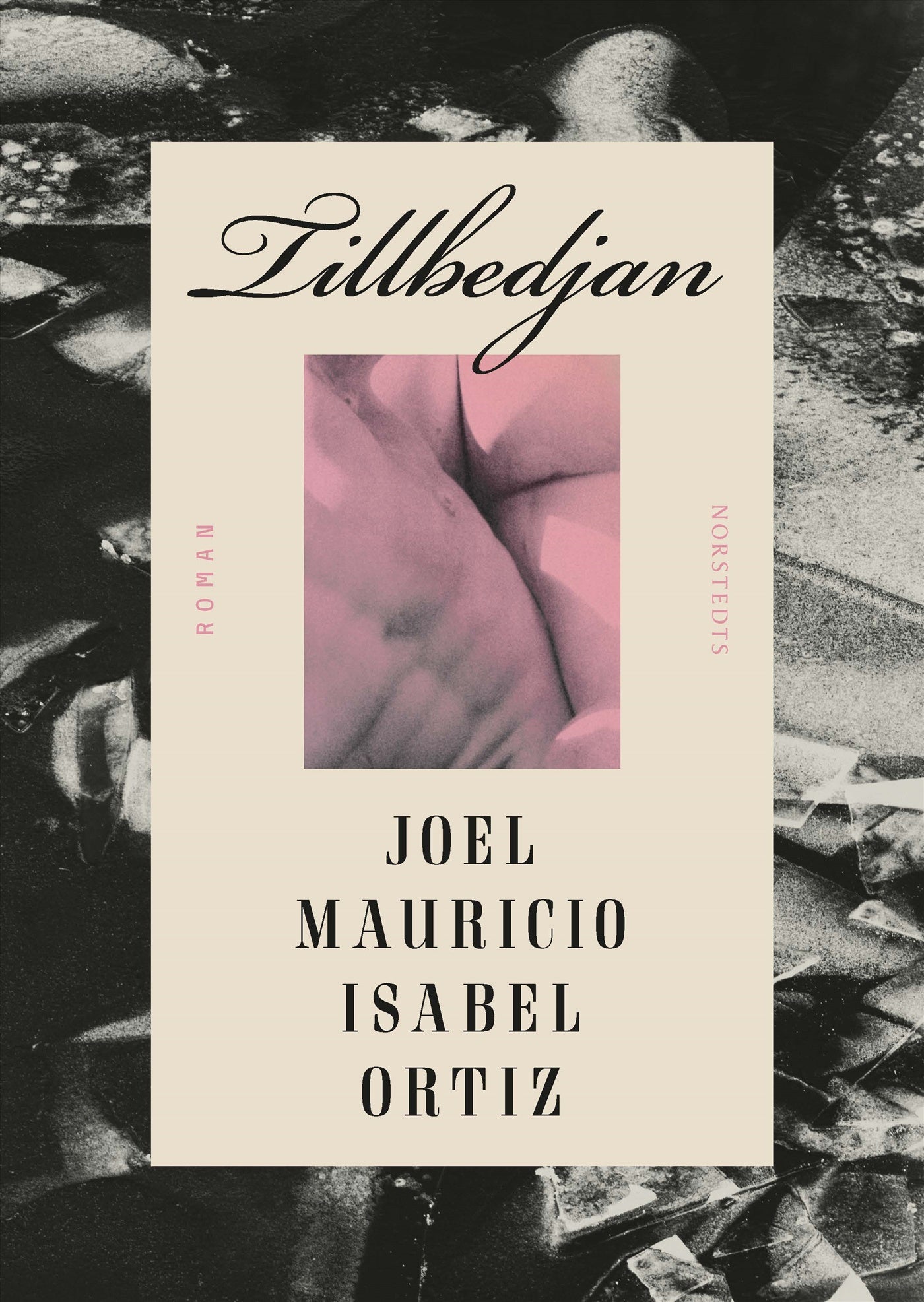 Tillbedjan – E-bok