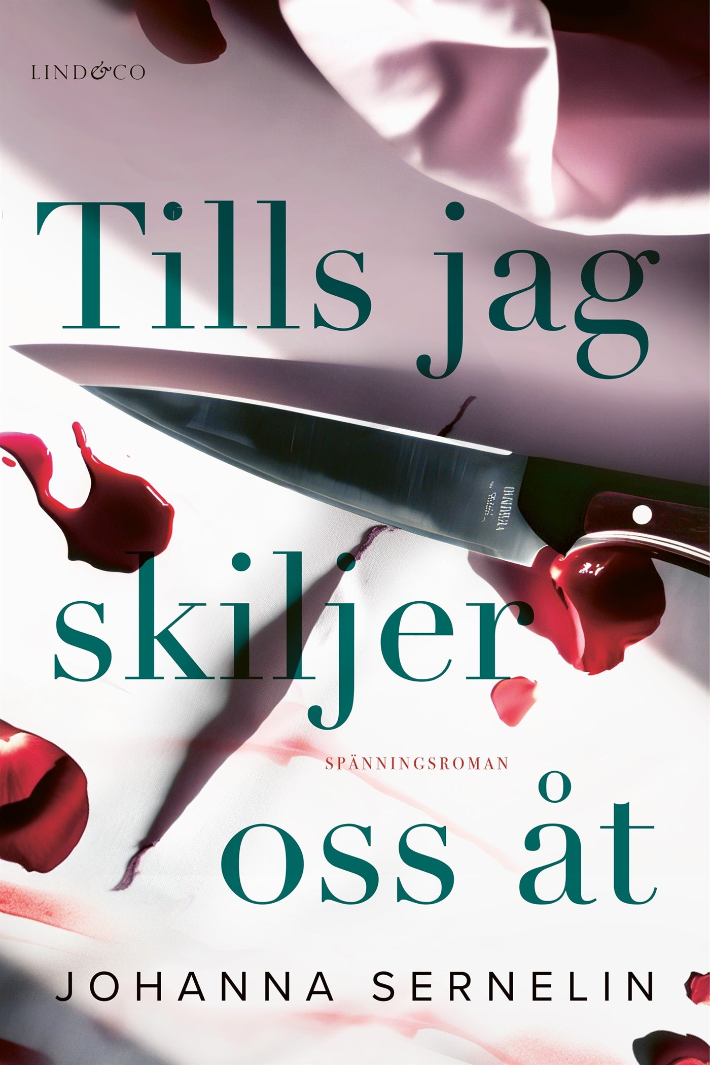 Tills jag skiljer oss åt – E-bok
