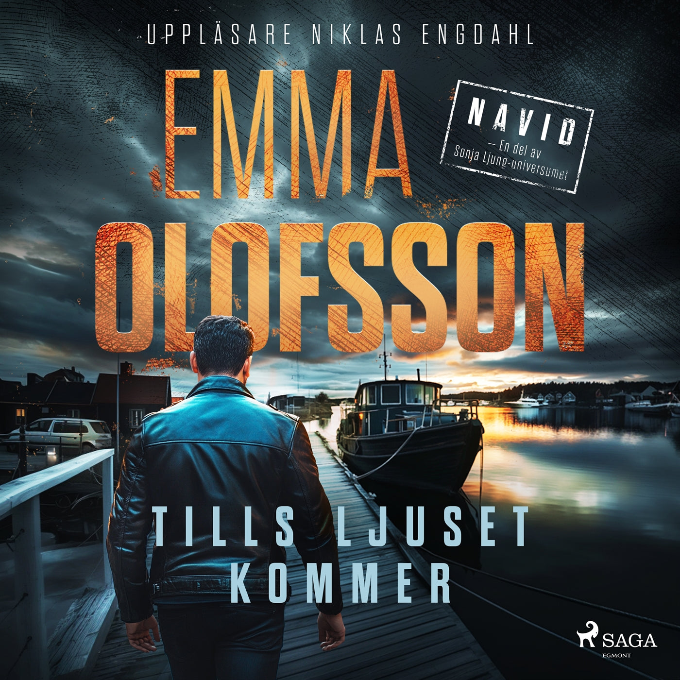Tills ljuset kommer – Ljudbok