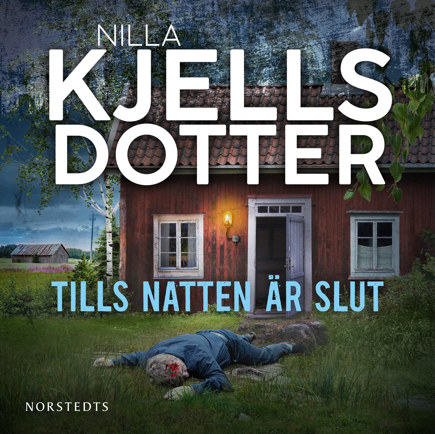 Tills natten är slut – Ljudbok