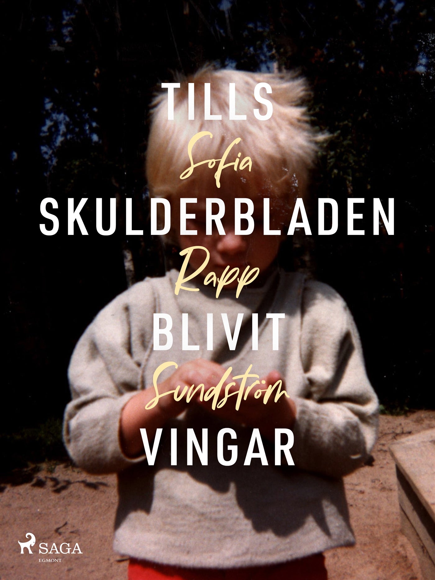 Tills skulderbladen blivit vingar – E-bok