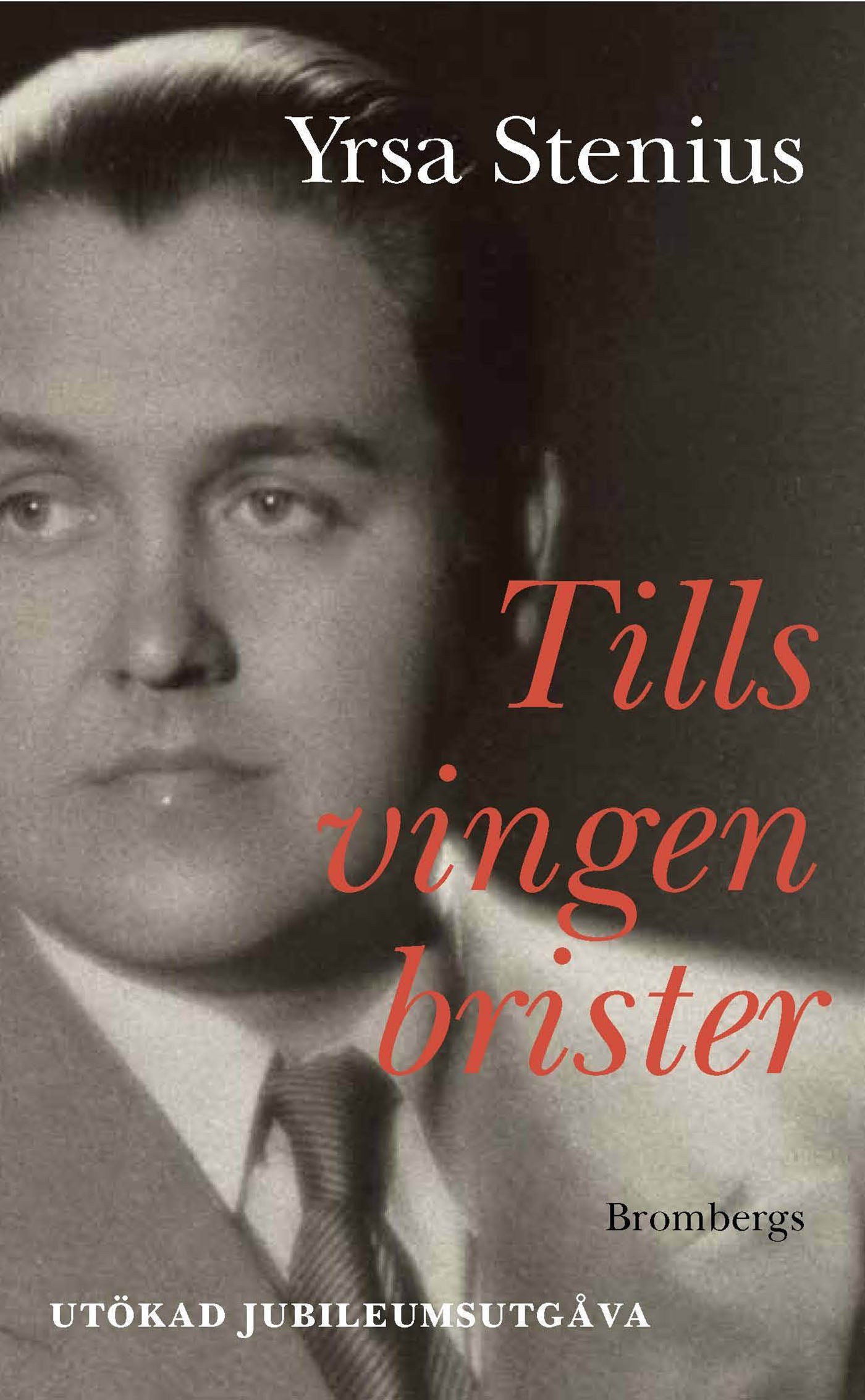 Tills vingen brister – E-bok