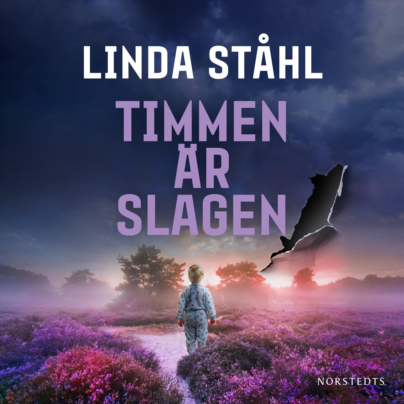 Timmen är slagen – Ljudbok