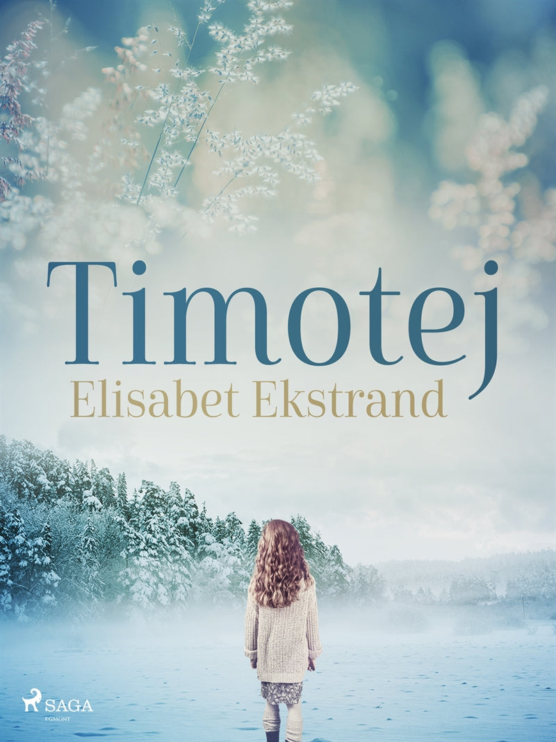 Timotej – E-bok
