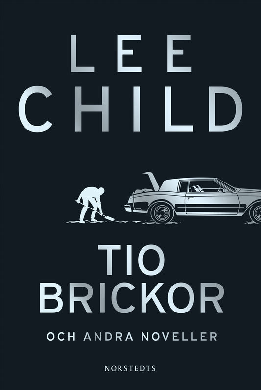 Tio brickor och andra noveller – E-bok