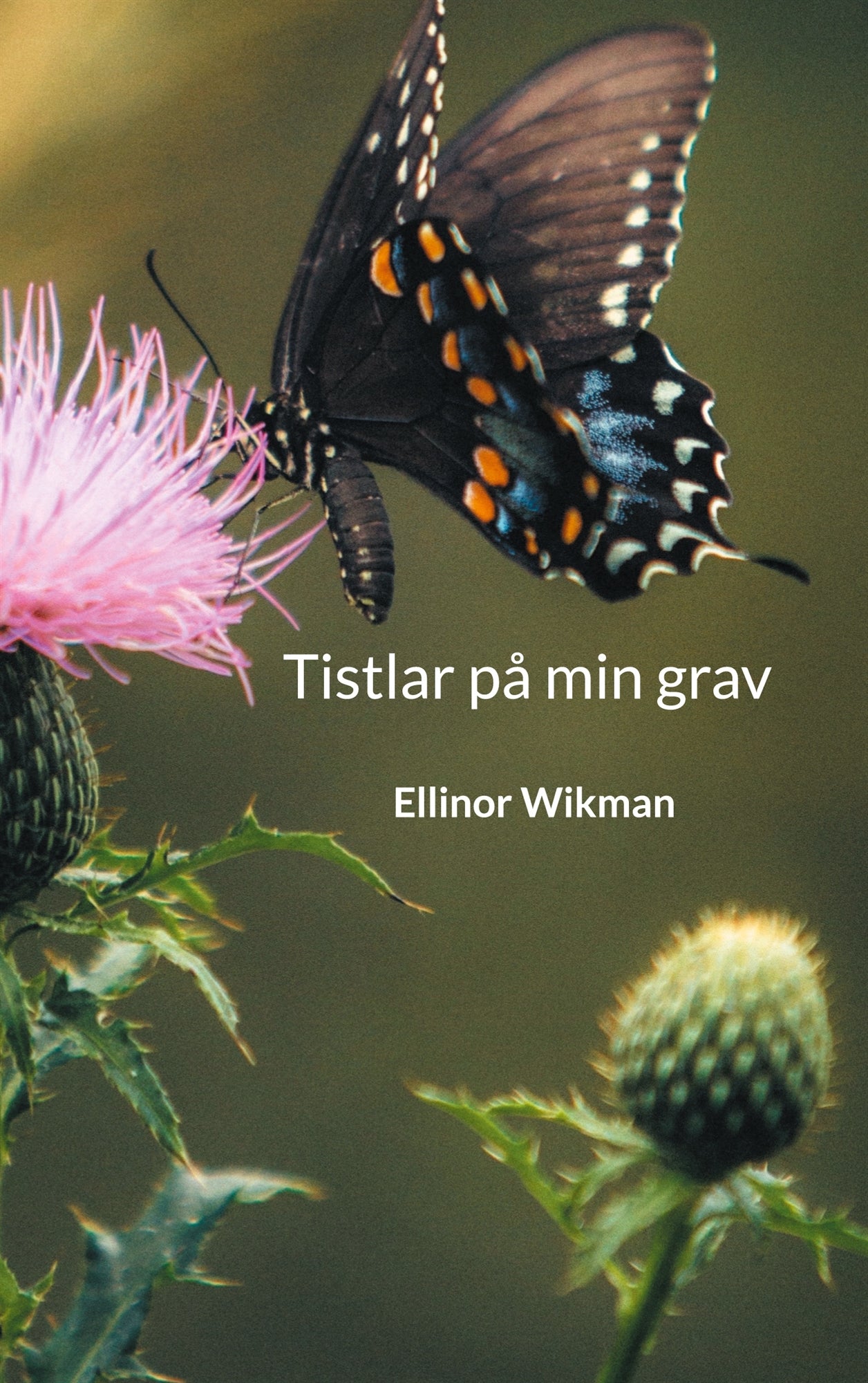 Tistlar på min grav – E-bok
