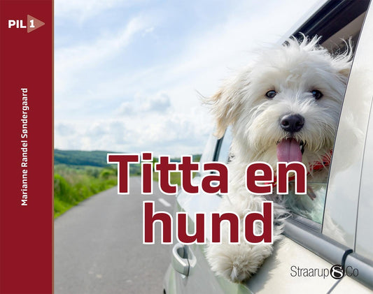 Titta en hund – E-bok