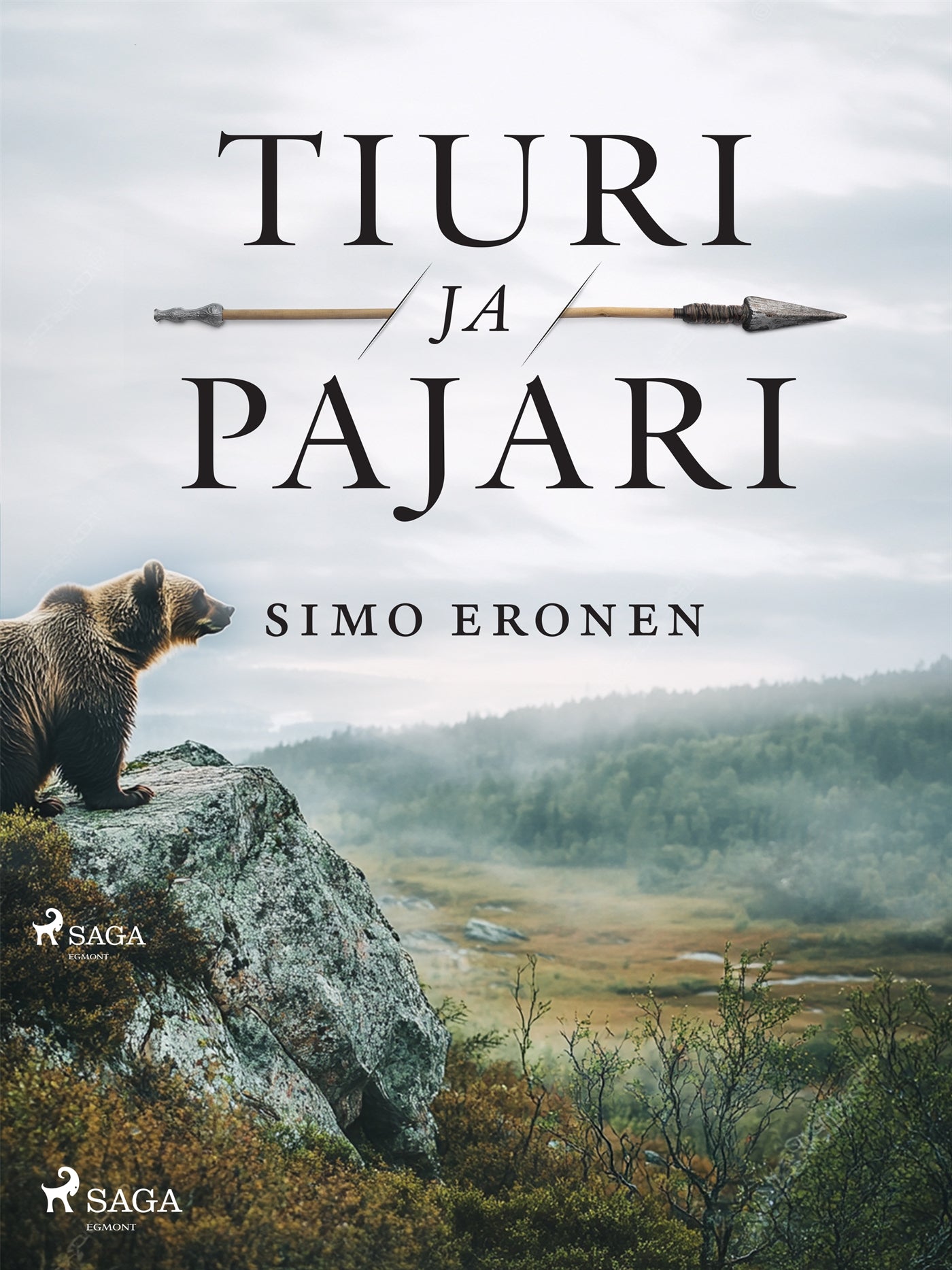 Tiuri ja pajari – E-bok
