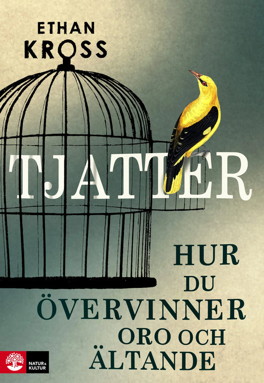 Tjatter : hur du övervinner oro och ältande – E-bok