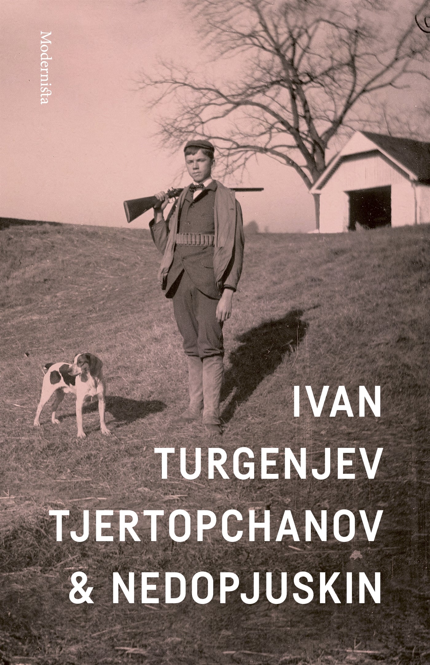 Tjertopchanov och Nedopjuskin – E-bok
