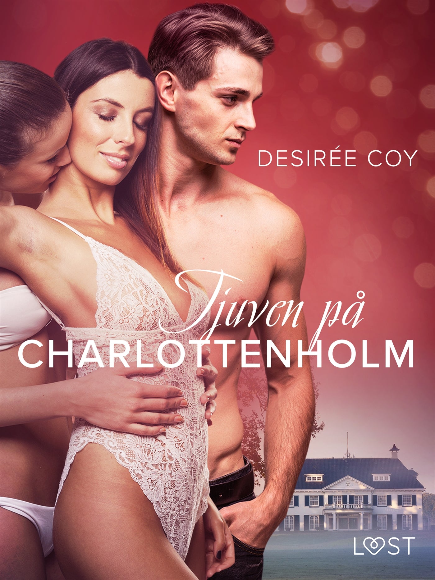 Tjuven på Charlottenholm - erotisk spänningsnovell – E-bok