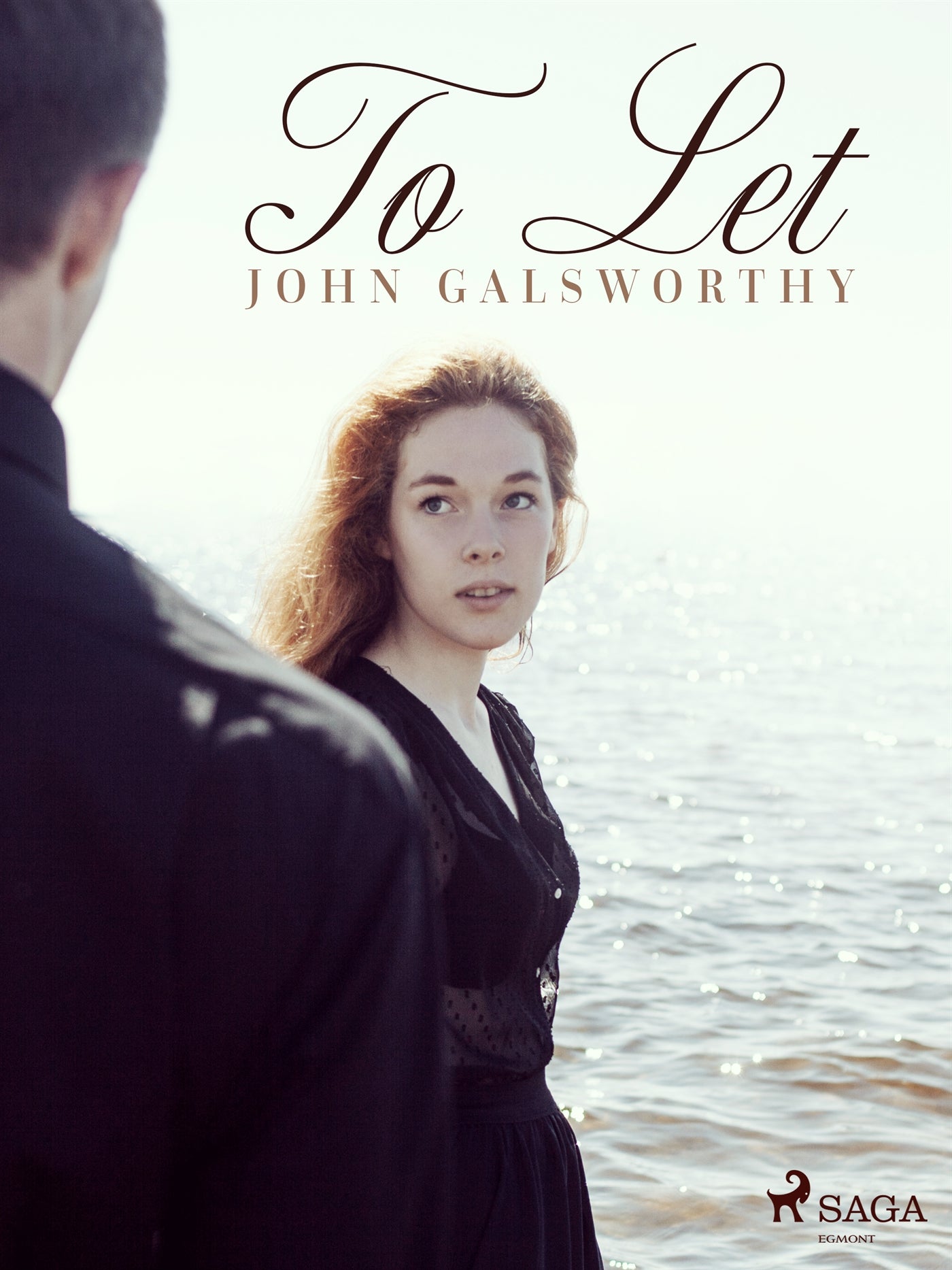 To Let – E-bok