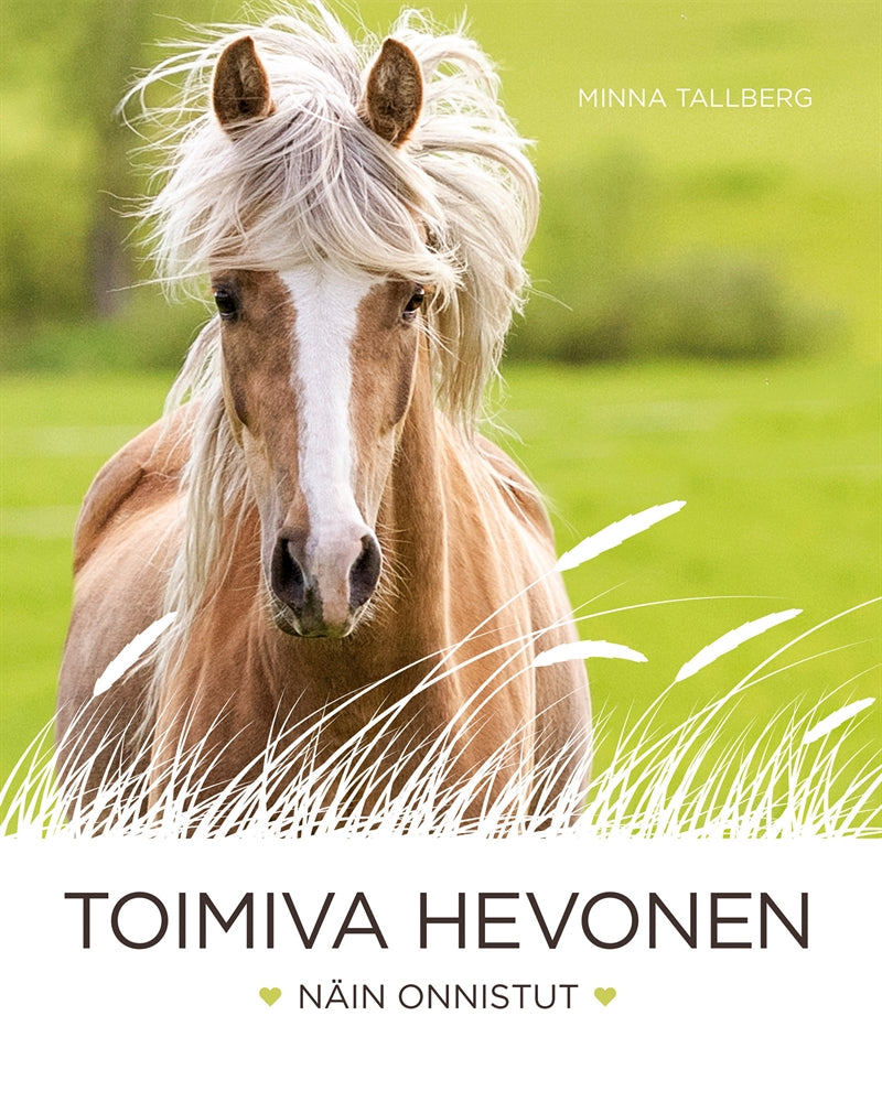 Toimiva hevonen: - näin onnistut – E-bok