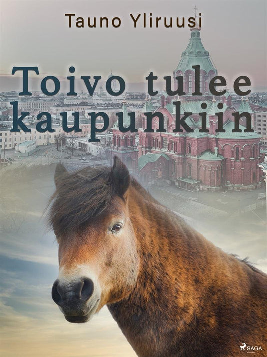 Toivo tulee kaupunkiin – E-bok