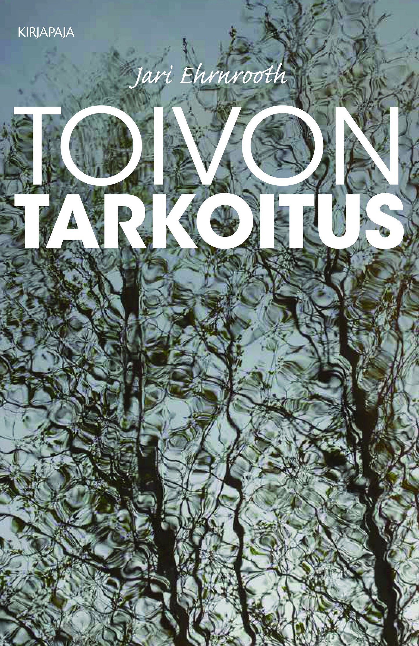 Toivon tarkoitus – E-bok