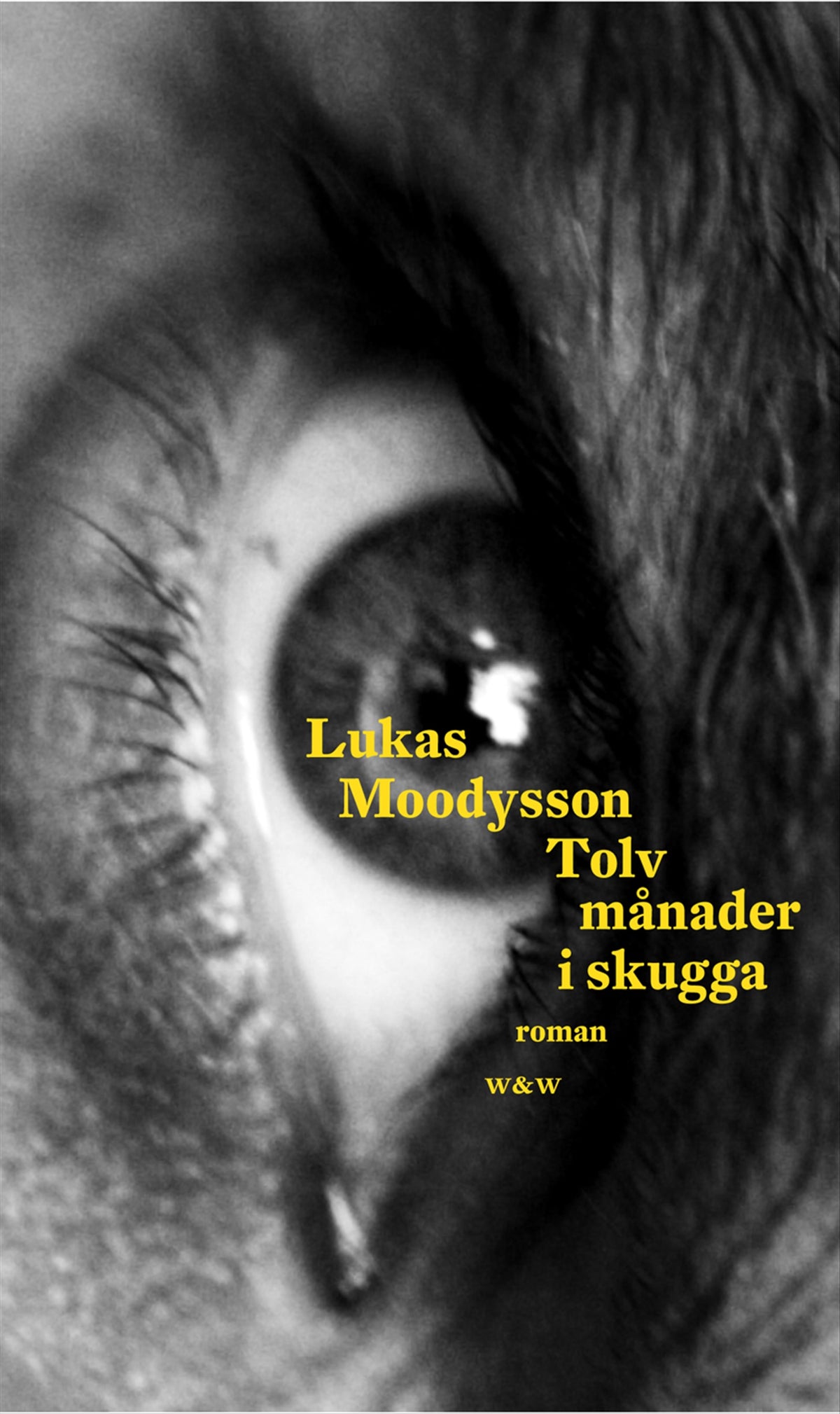 Tolv månader i skugga – E-bok
