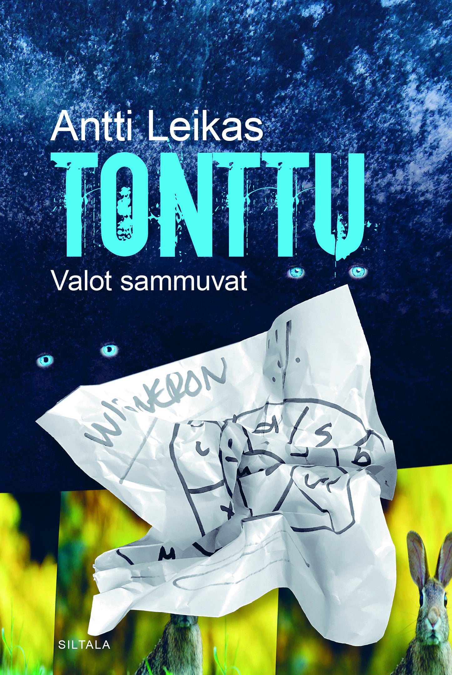 Tonttu – E-bok