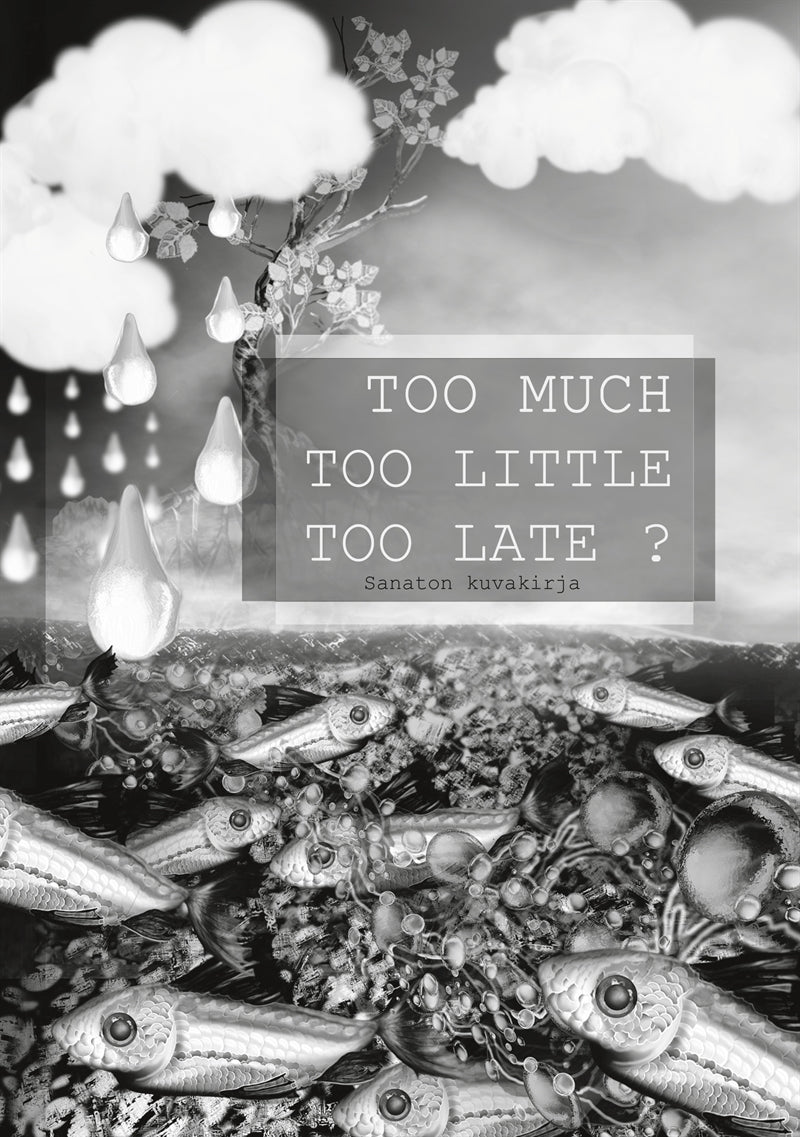 Too Much Too Little Too Late ?: Sanaton kuvakirja – E-bok