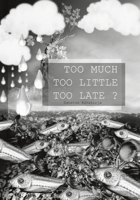 Too Much Too Little Too Late ?: Sanaton kuvakirja – E-bok
