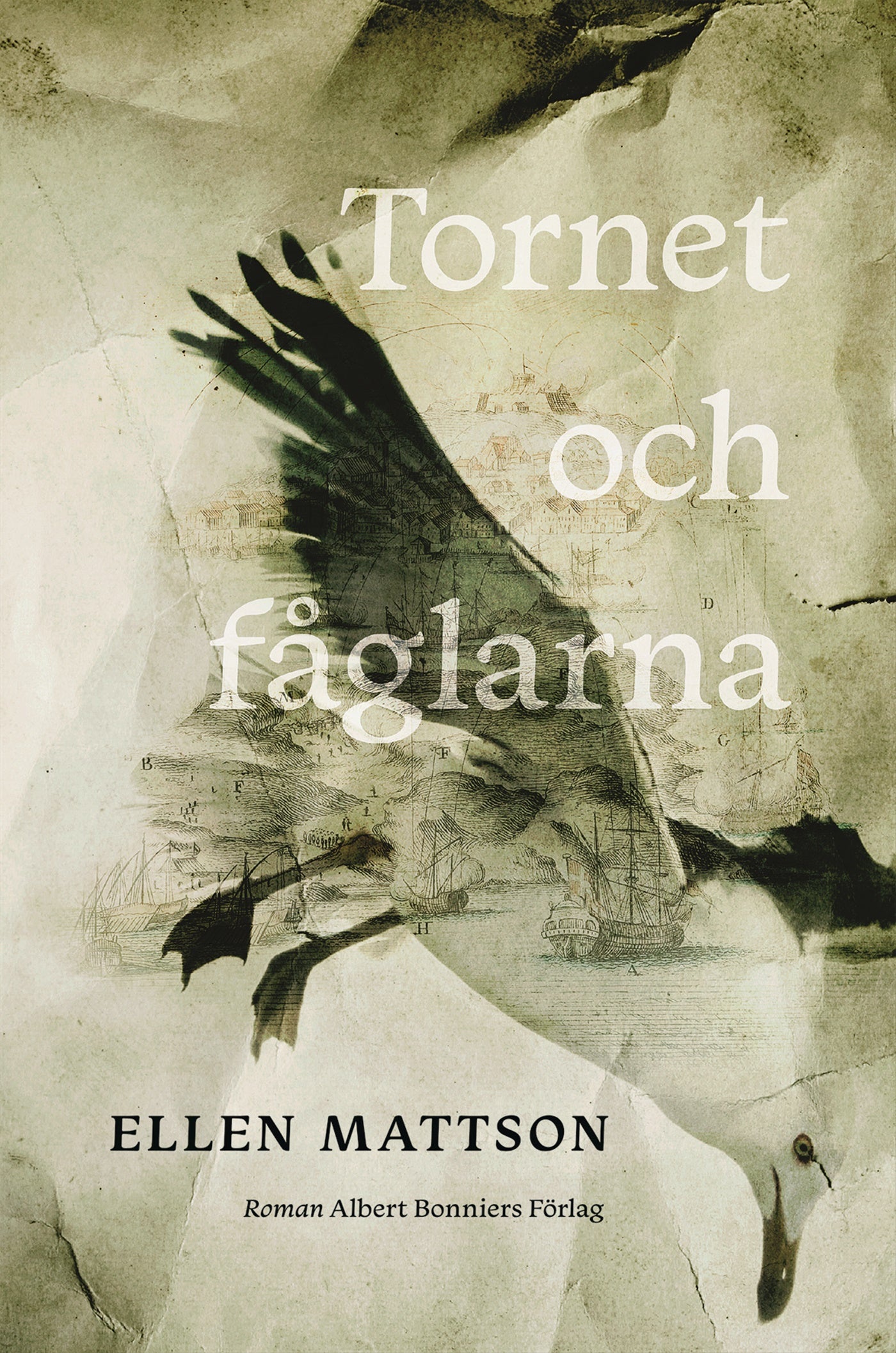 Tornet och fåglarna – E-bok