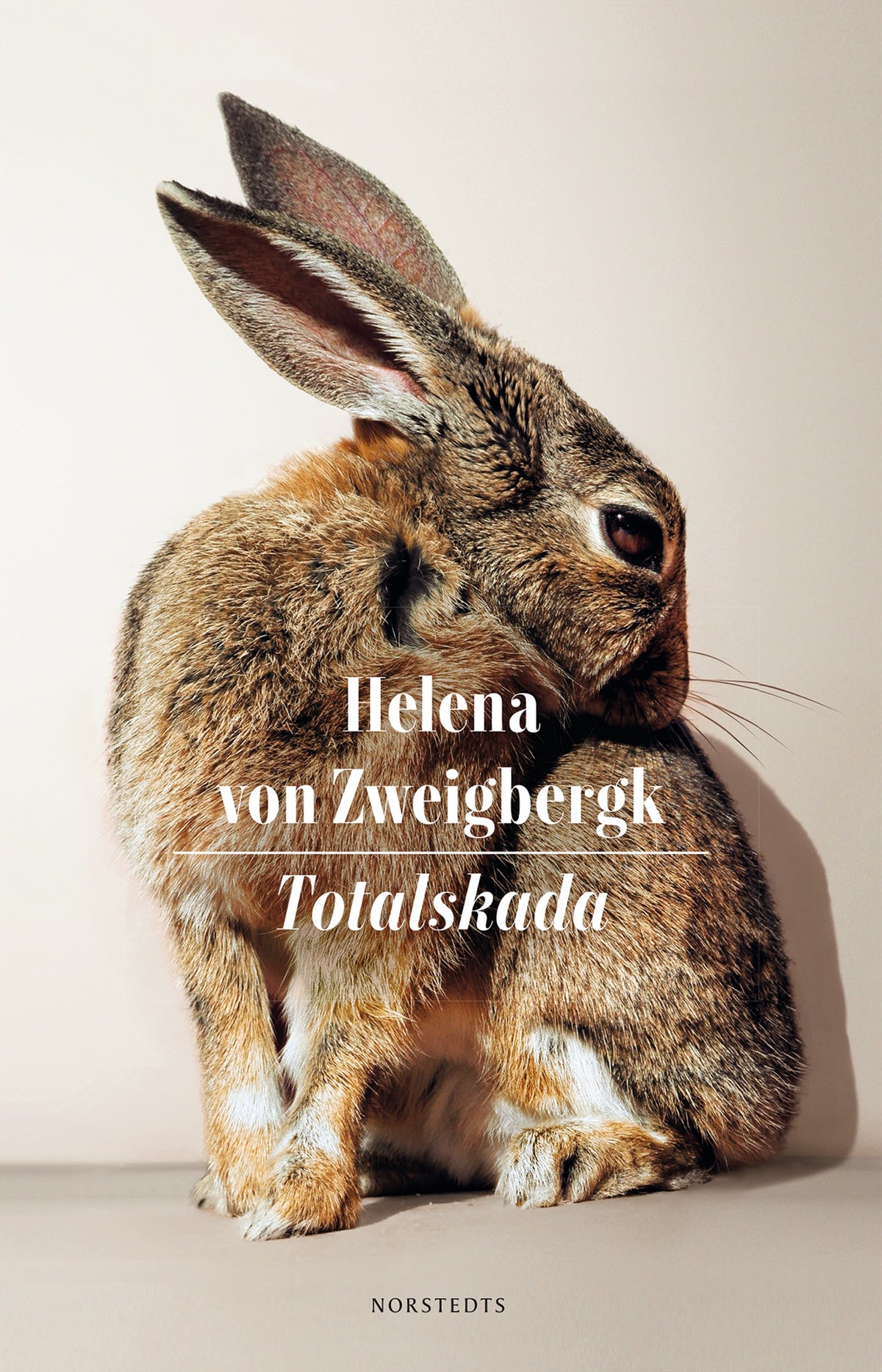 Totalskada – E-bok