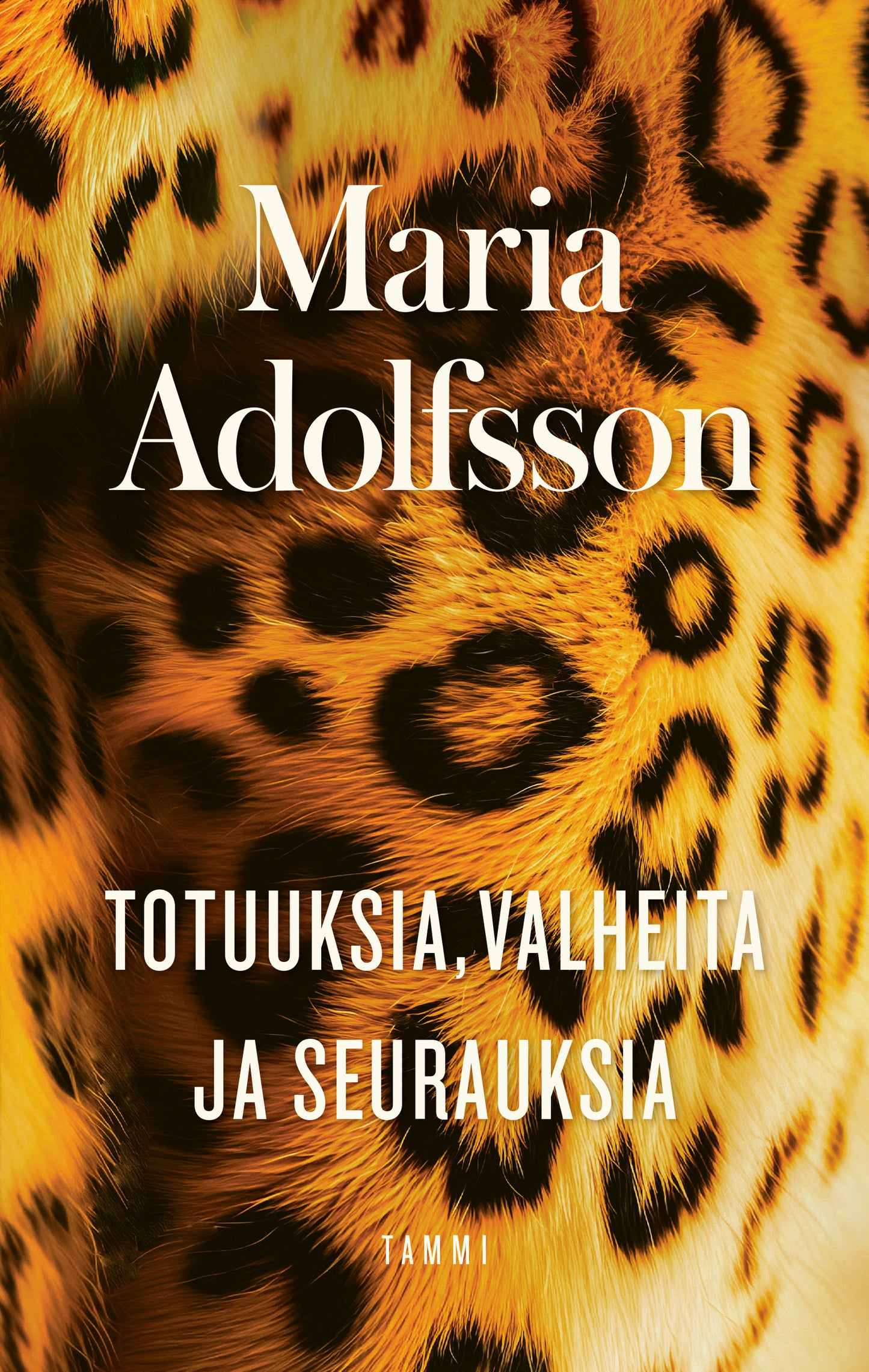 Totuuksia, valheita ja seurauksia – E-bok