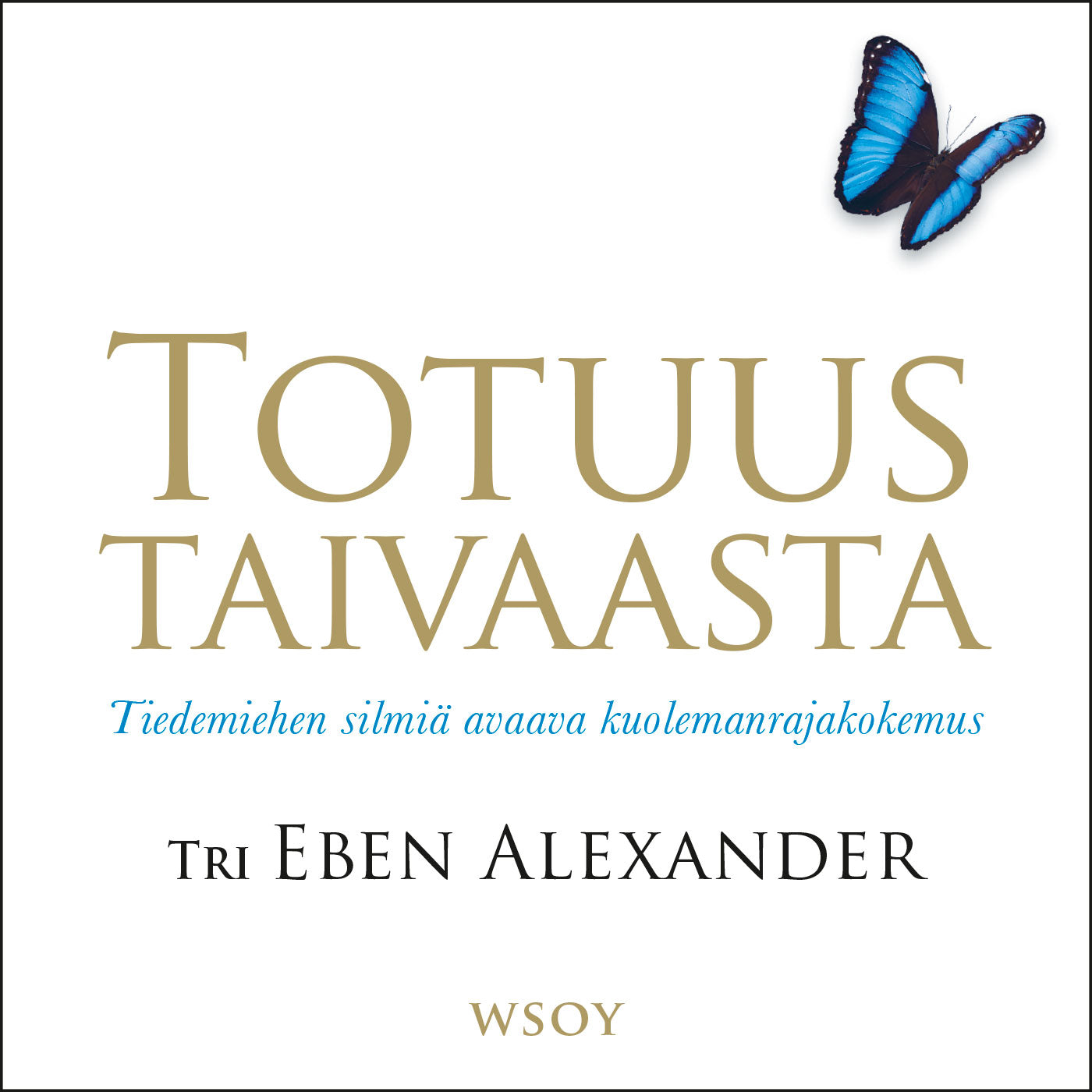 Totuus taivaasta – Ljudbok