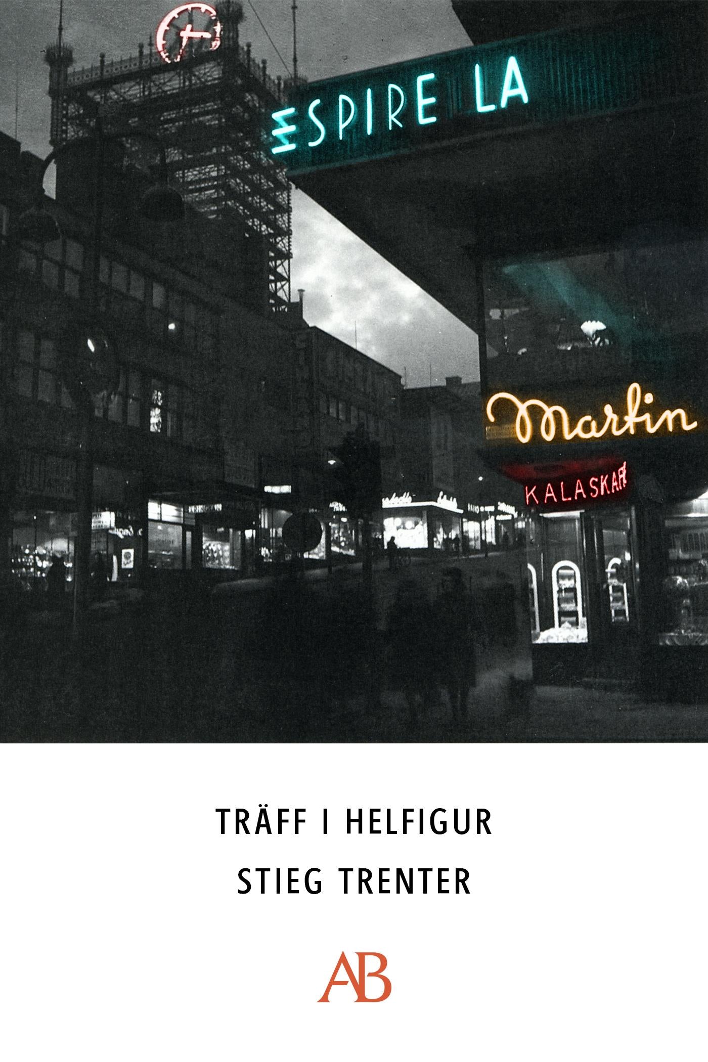 Träff i helfigur – E-bok