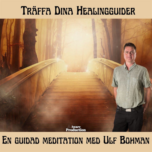 Träffa dina healingguider – Ljudbok