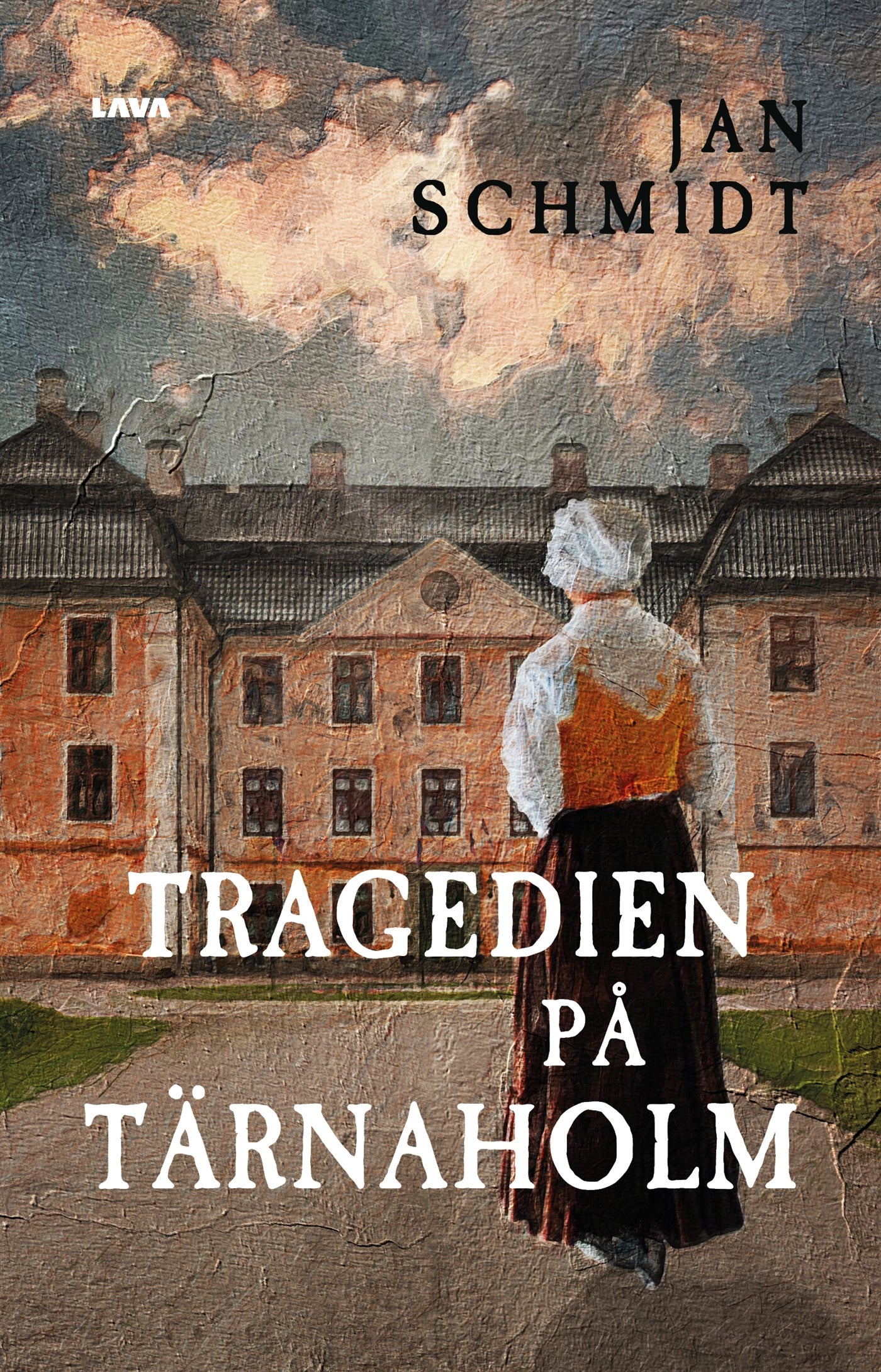Tragedien på Tärnaholm : en detektivroman i historisk miljö – E-bok