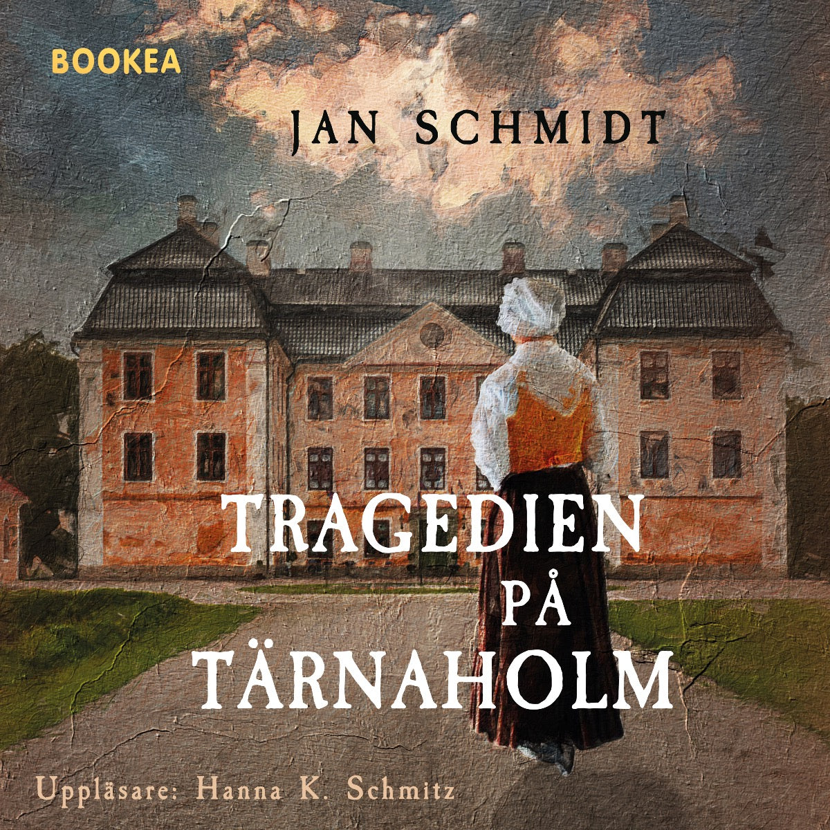 Tragedien på Tärnaholm : en detektivroman i historisk miljö – Ljudbok