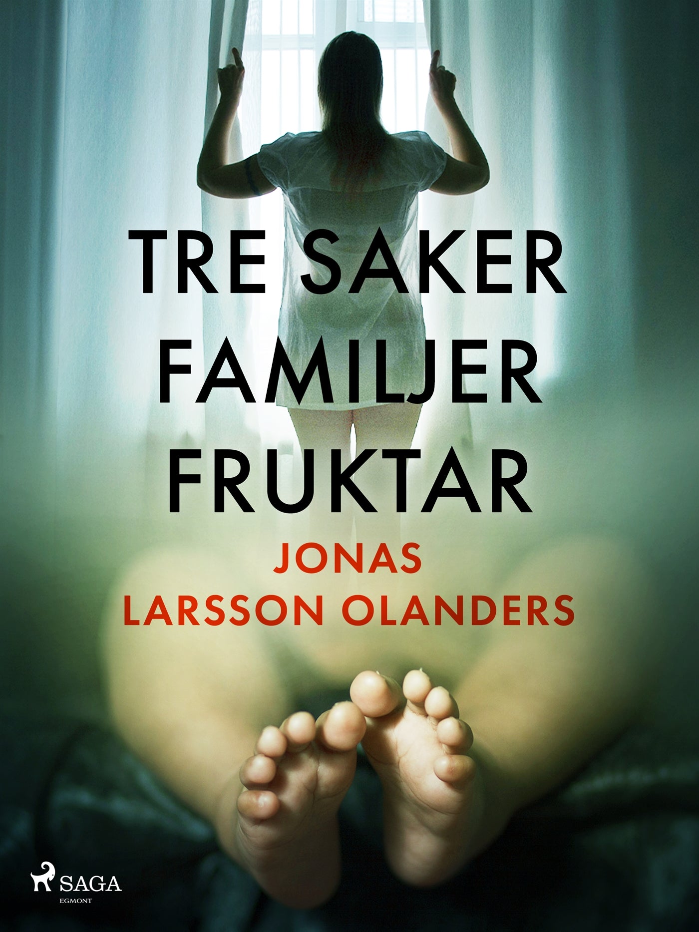 Tre saker familjer fruktar – E-bok