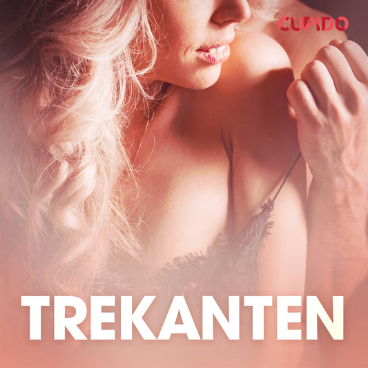 Trekanten - erotiska noveller – Ljudbok