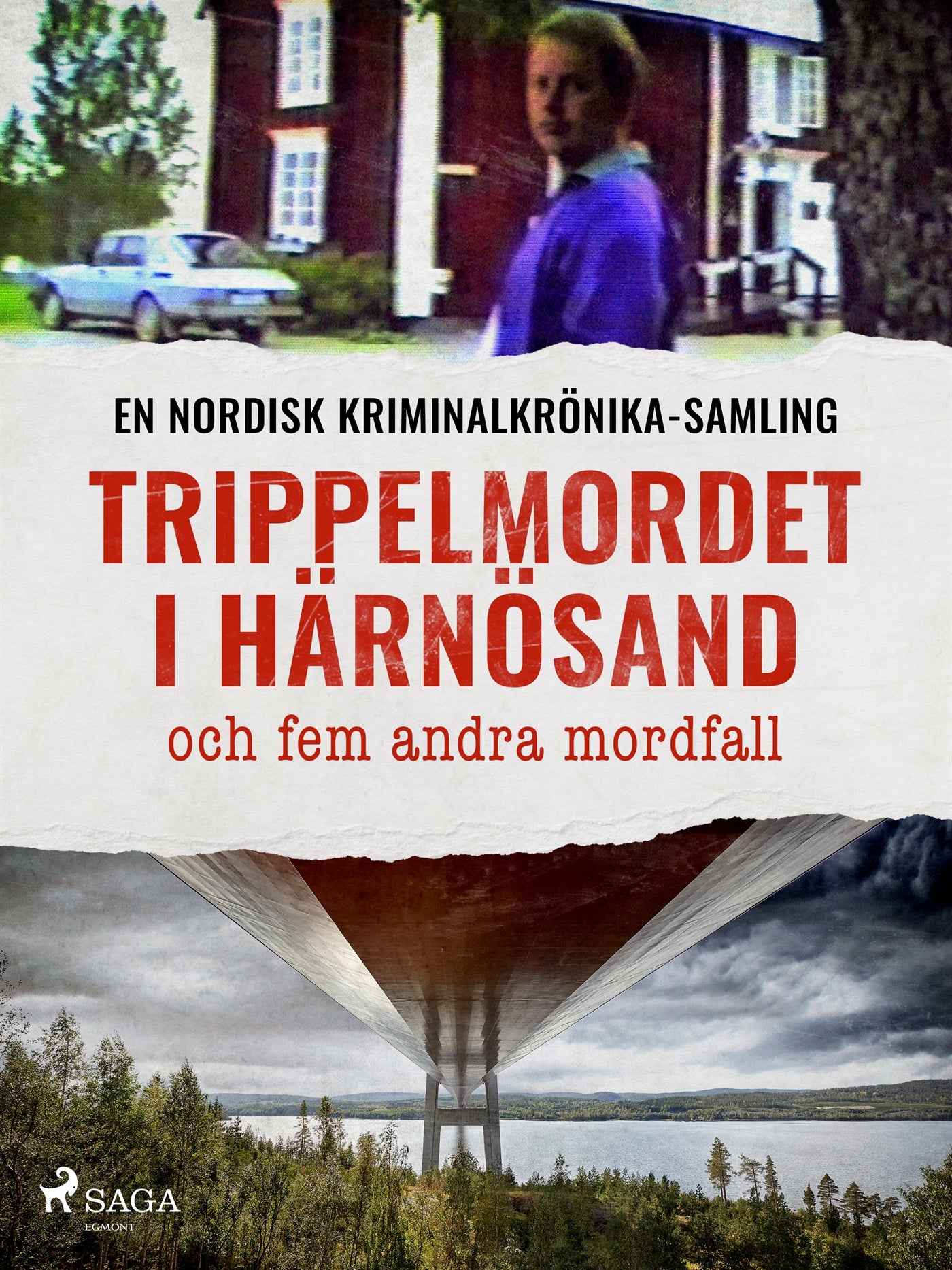 Trippelmordet i Härnösand och fem andra mordfall – E-bok