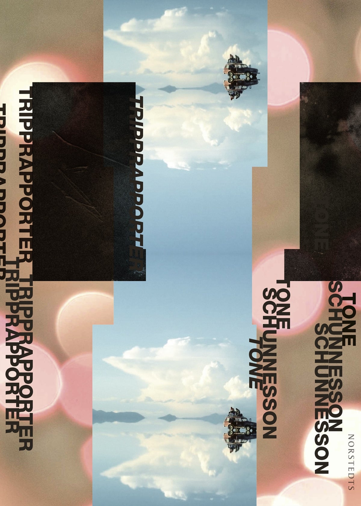 Tripprapporter – E-bok