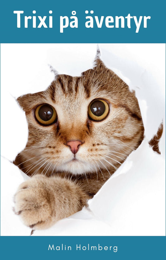 Trixi på äventyr – E-bok