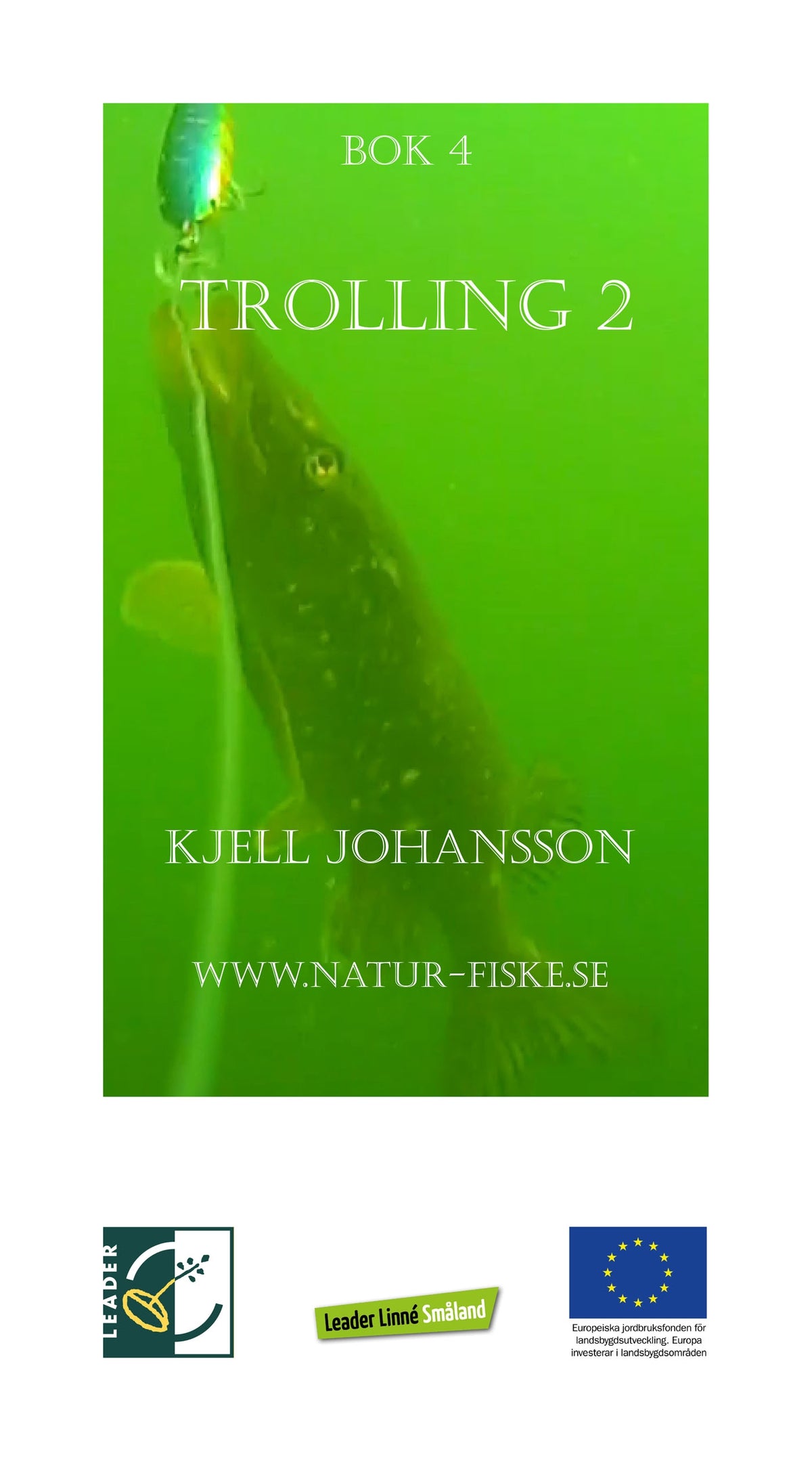 Trolling 2 – E-bok