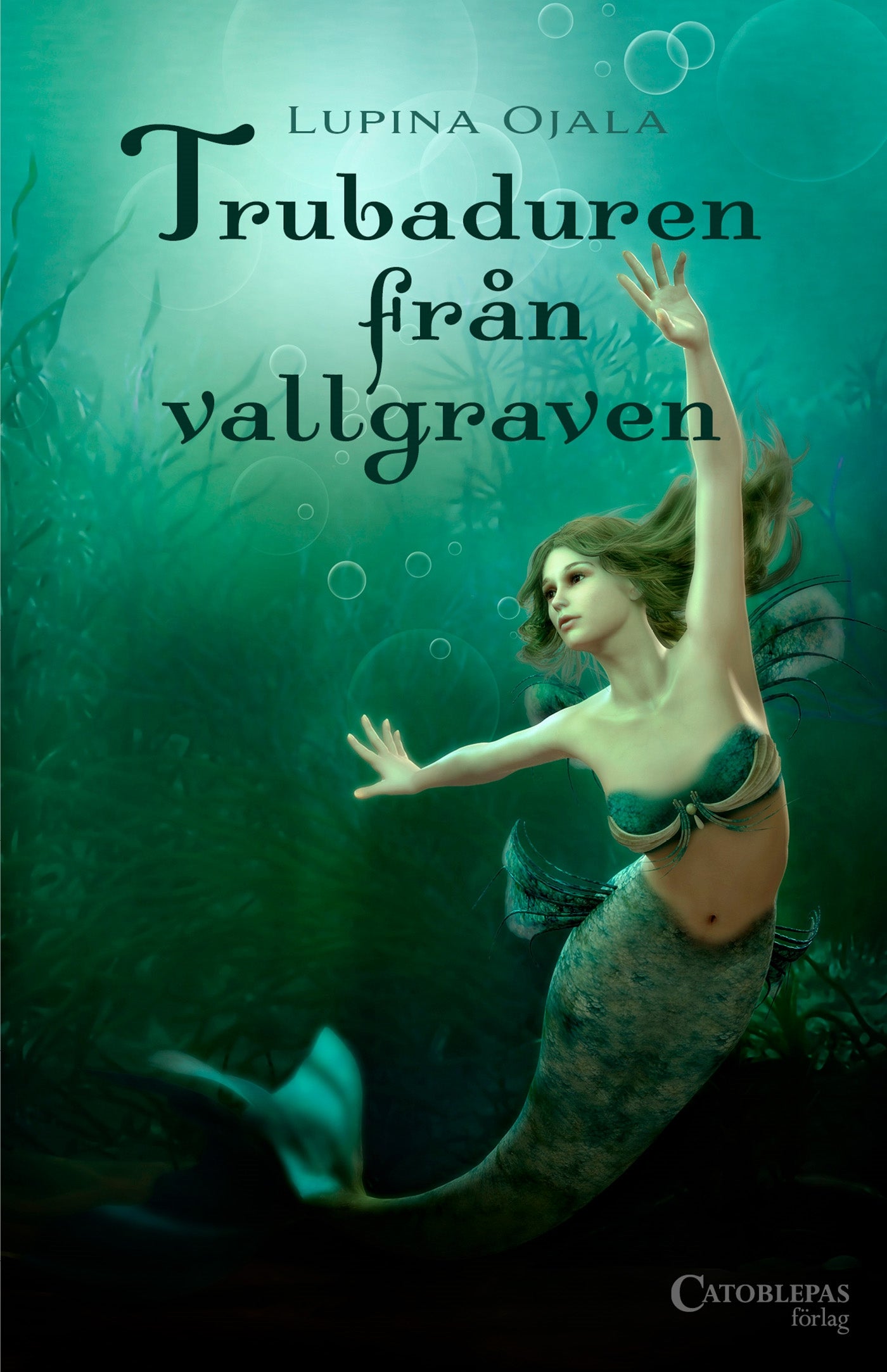 Trubaduren från vallgraven – E-bok