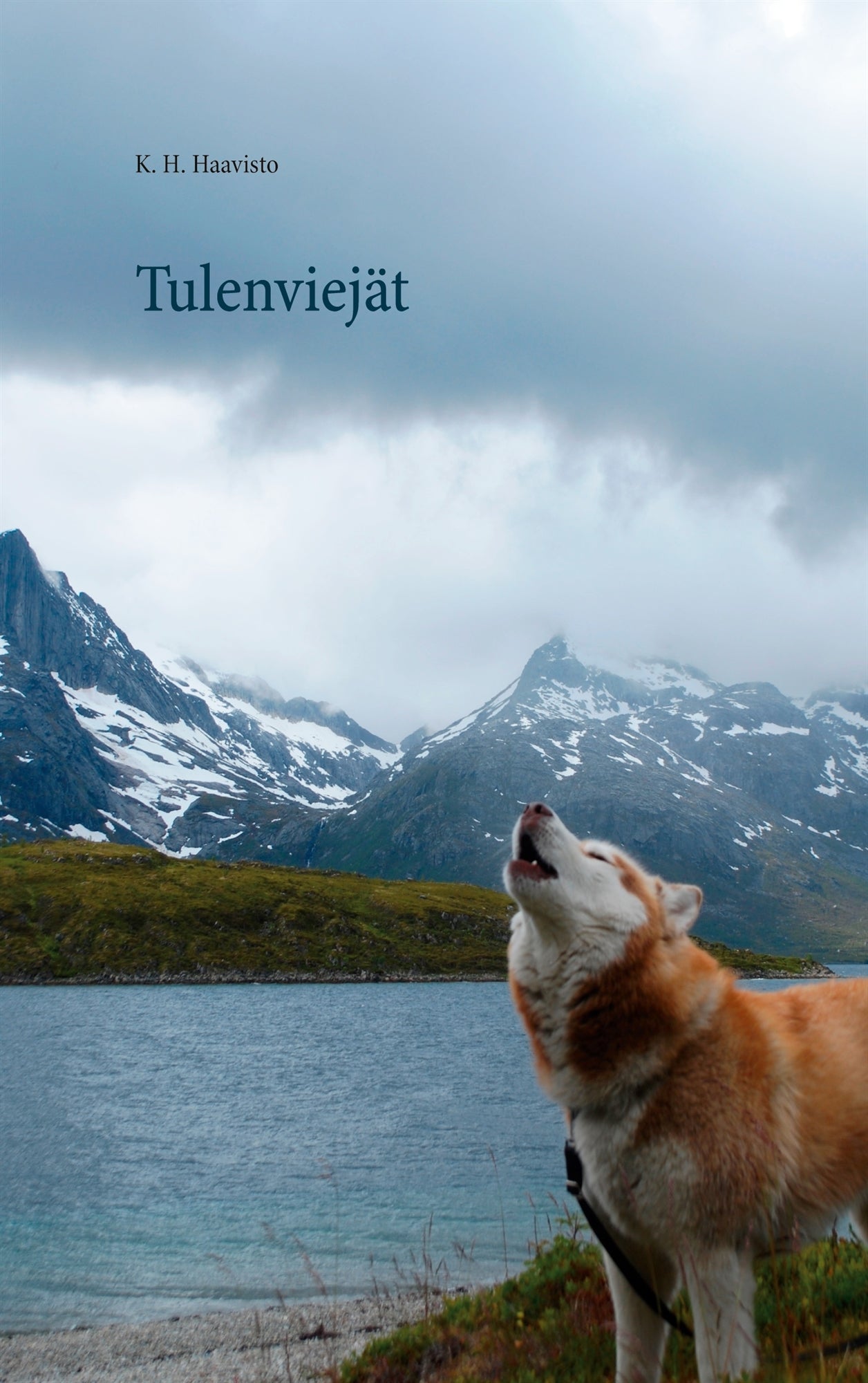Tulenviejät – E-bok