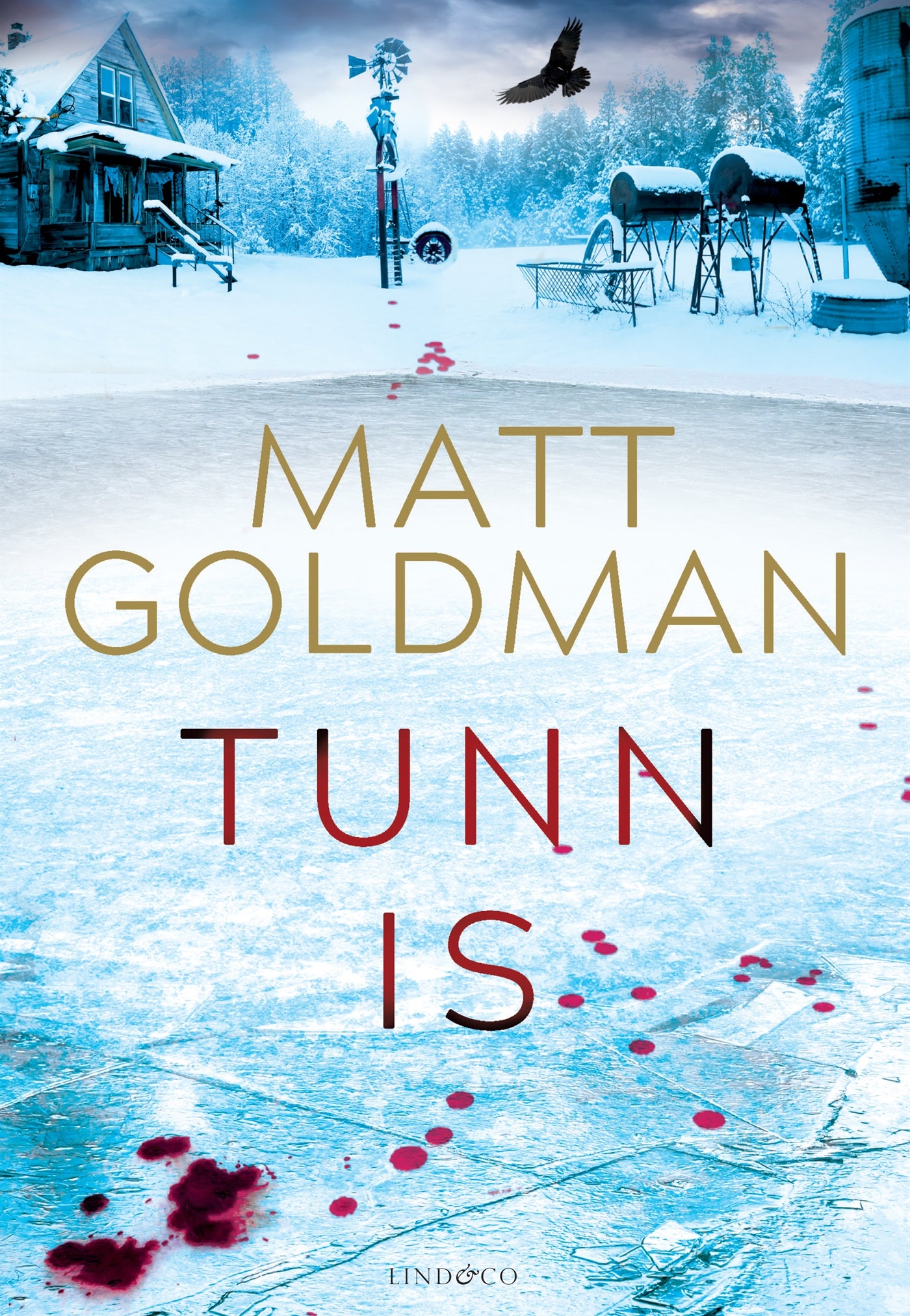 Tunn is  – E-bok
