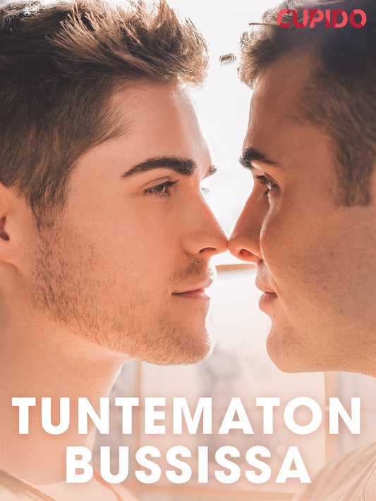 Tuntematon bussissa – E-bok
